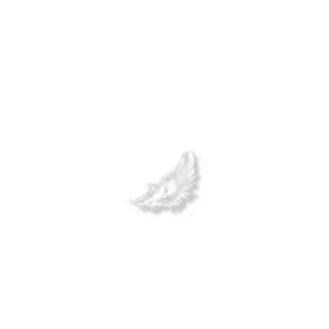 A3L accompagnement