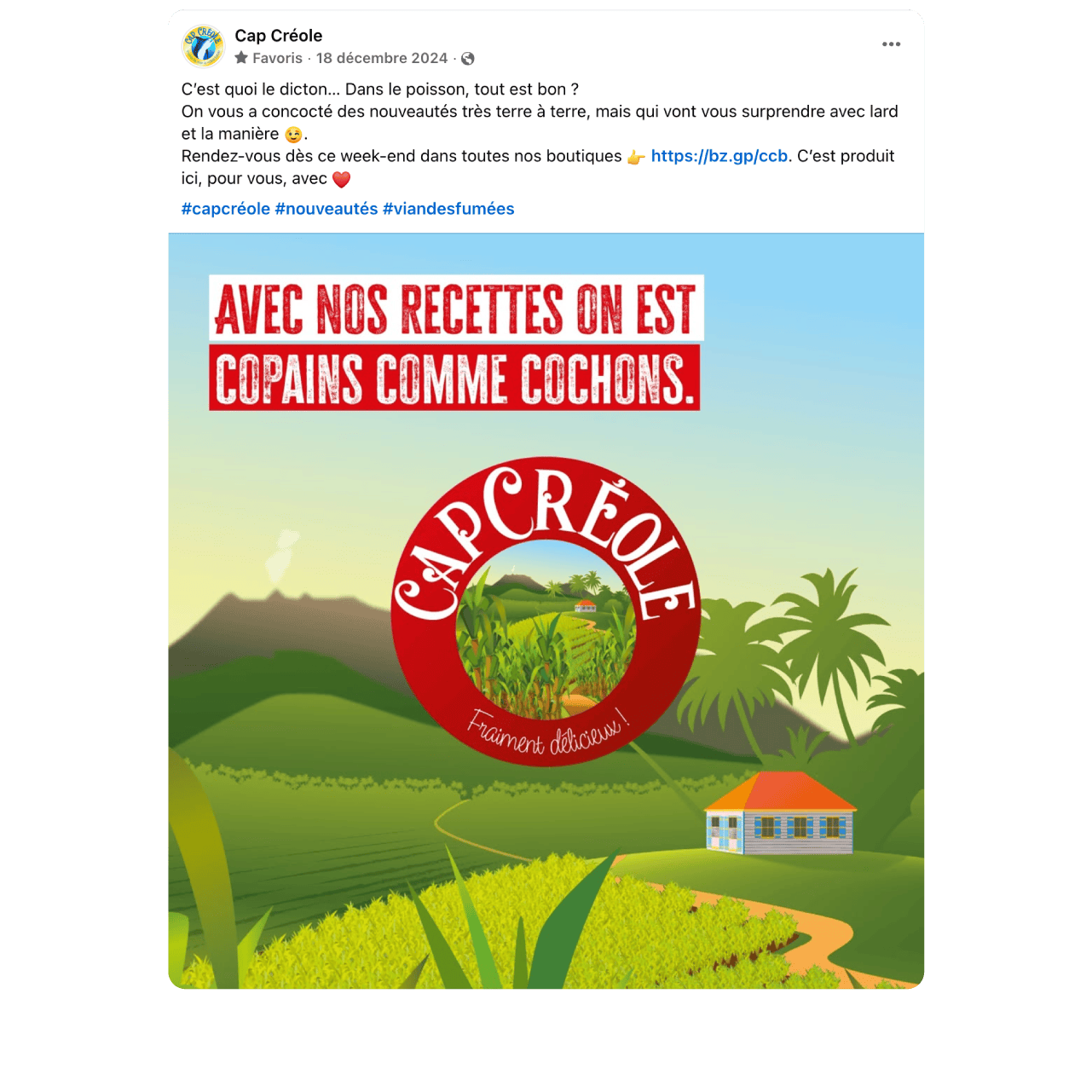 buzzinga-cap-creole-cm 19